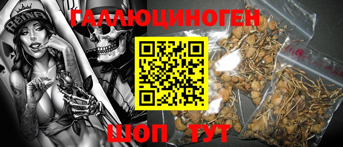 Псилоцибиновые грибы ЛСД Реутов