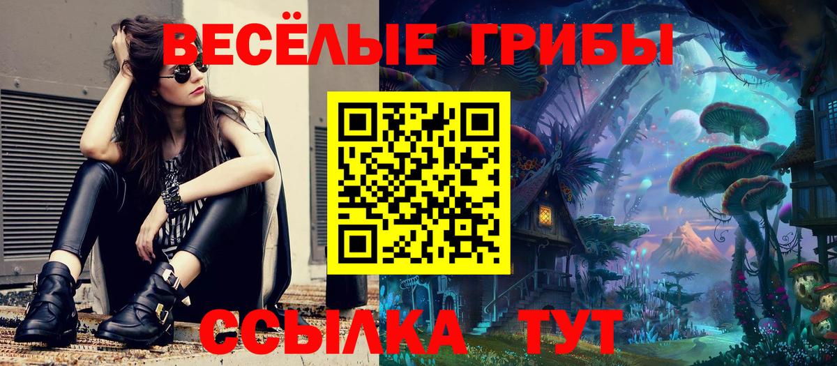 Галлюциногенные грибы прущие грибы  Вход с VPN  Реутов  Галлюциногенные грибы мухоморы 